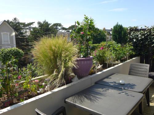 Apartment Olympe.2