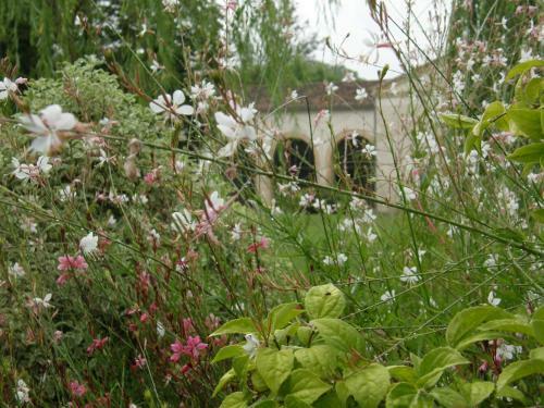 Cottage � La Jinoli�