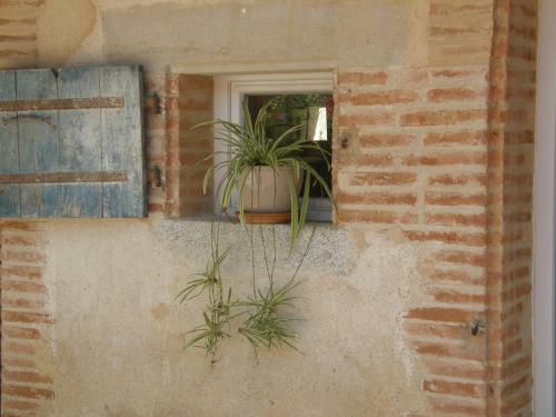 Cottage � La Jinoli�