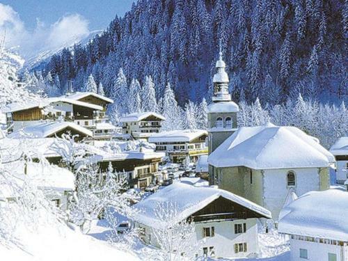 Hotel H�tel Flor'alpes