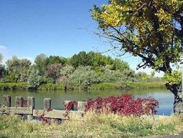 Best Western Ramkota Hotel