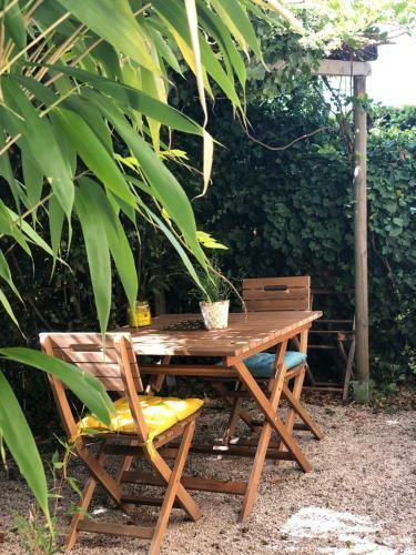 Acanthes & Provence