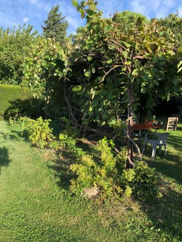 Acanthes & Provence