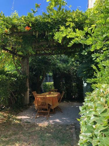 Acanthes & Provence