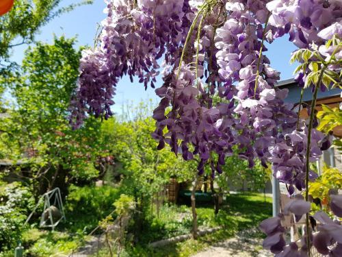 Hostal Guest House Heart Of Telavi