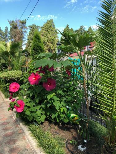 Hotel Villa Gardenia Ureki
