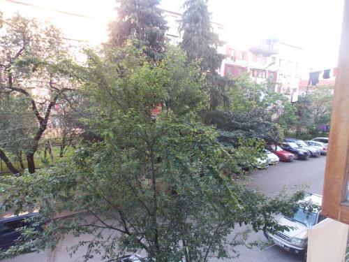 Apartment Inasaridze 17
