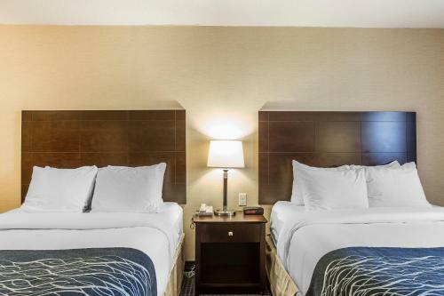 Hotel Comfort Inn - Gander