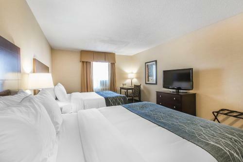 Hotel Comfort Inn - Gander