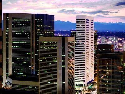 Hotel Ritz Carlton Denver