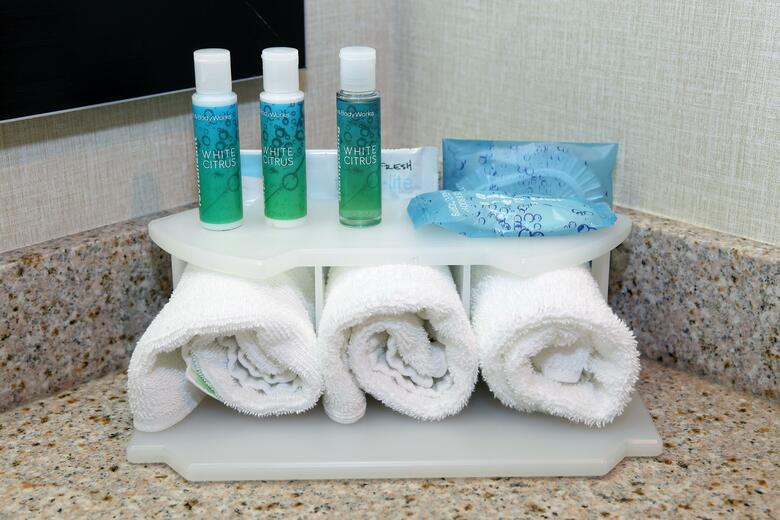 Holiday Inn Express Hotel & Suites Vernon