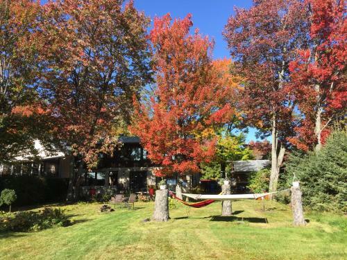 Hostal Gite Du Lac � La Tortue