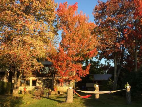 Hostal Gite Du Lac � La Tortue