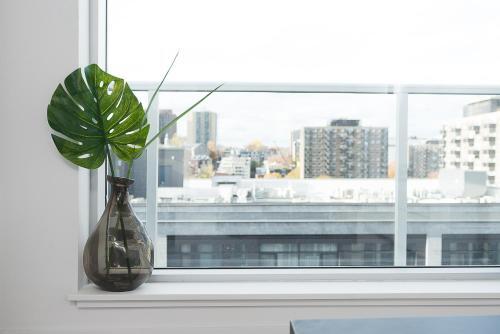 Apartamento Sonder ? Rue Sainte-catherine