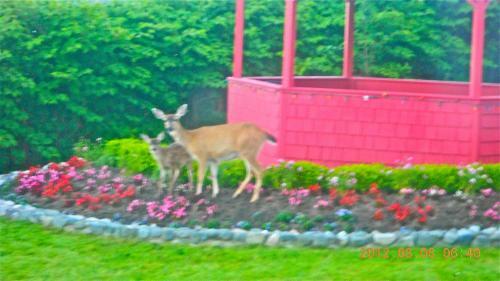 Bed & Breakfast Pillsbury Guest House