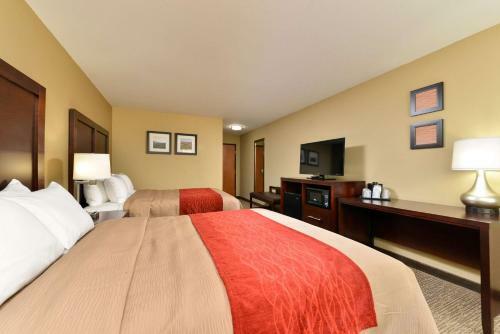 Hotel Comfort Inn And Suites Manheim