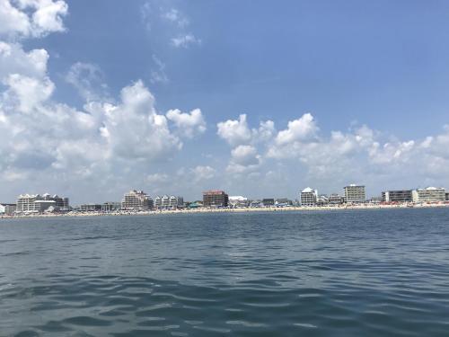 Apartamento High Point South 1g