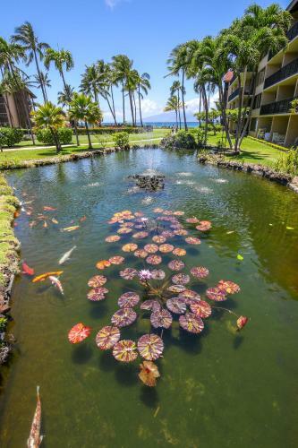 Apartamento Papakea Resort J-201