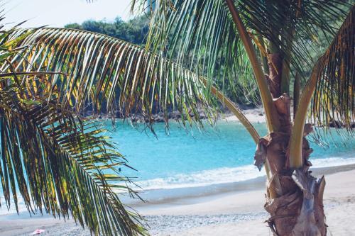 Hotel Bungalow In Playa Rosa