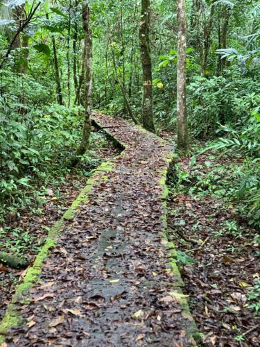Ecolodge Naha - Selva Lacandona