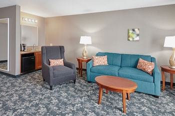 Hotel Hilton Garden Inn Schaumburg