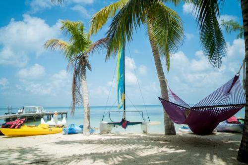 Hotel Thatch Caye Resort