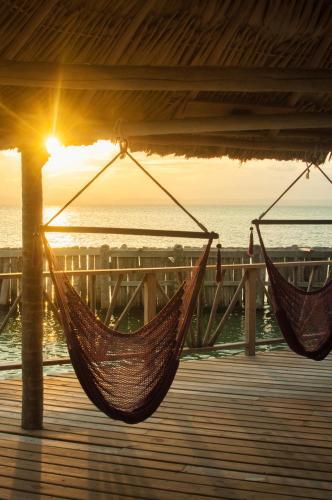 Hotel Thatch Caye Resort