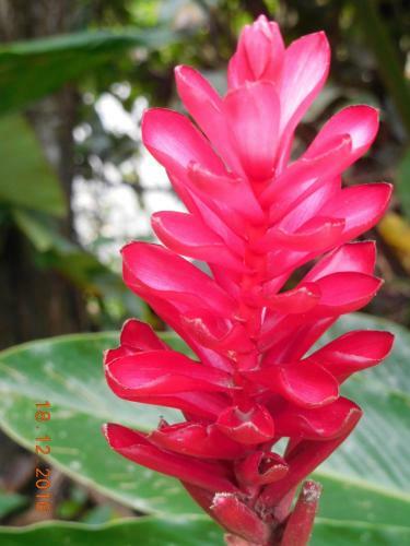 Apartamento Casa Lina Eco Lodge