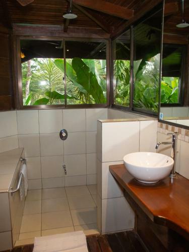 Albergue Chachagua Rainforest Ecolodge