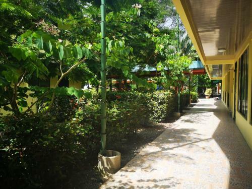 Hotel Cabinas Y Camping El Tecal