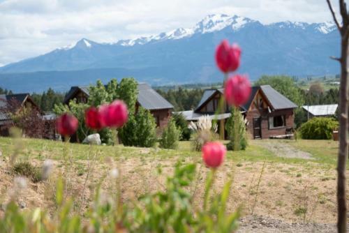 Lodge Caba�as Trevelin