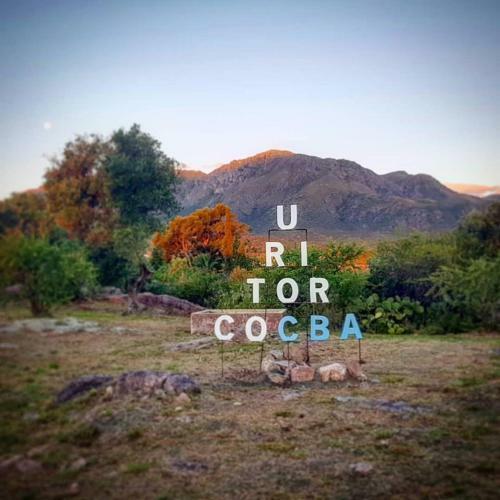 Lodge Caba�as Del Quijote