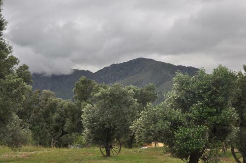 Lodge Caba�as Del Quijote
