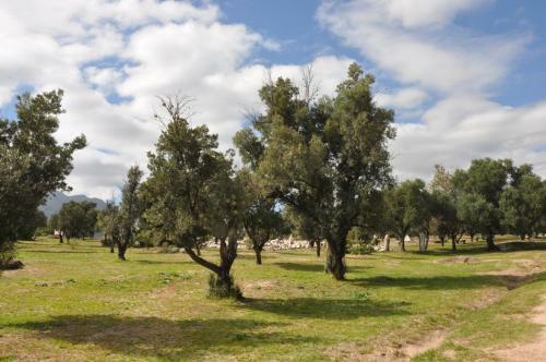Lodge Caba�as Del Quijote