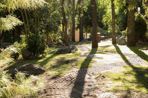 Lodge Las Nubes Caba�as & Loft