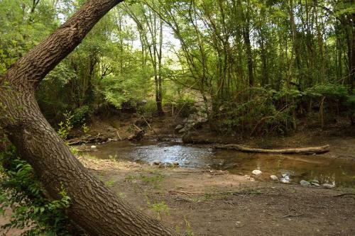 Lodge Caba�as Abril