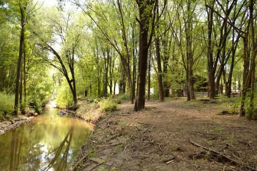 Lodge Caba�as Abril