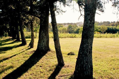 Hotel Ruca Haian Caba�as Y Spa