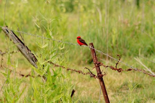 Hotel Ruca Haian Caba�as Y Spa