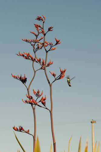 Hotel Ruca Haian Caba�as Y Spa