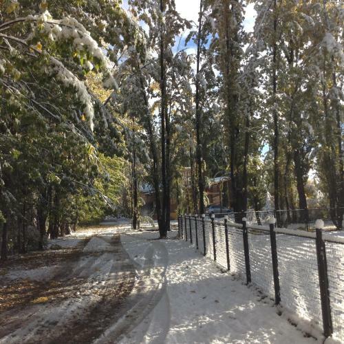 Bosque De Sol