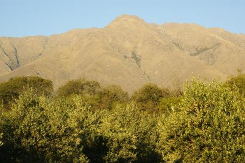 Lodge Magenta Complejo Caba�as & Spa