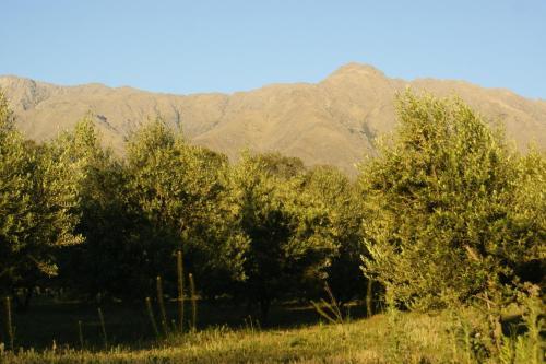 Lodge Magenta Complejo Caba�as & Spa