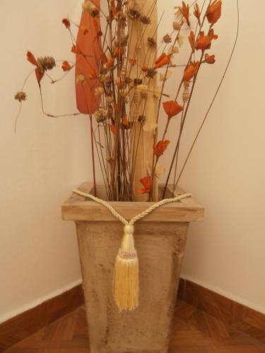 Lolo Hotel Boutique
