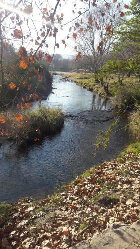 Lodge Ensue�o Caba�as