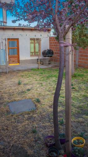 Casa En Cafayate