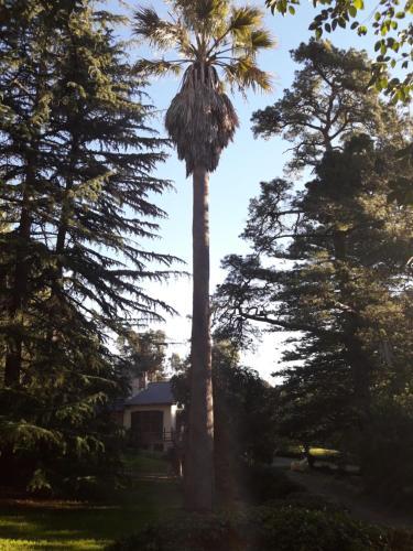 Agroturismo La Casa De Campo Caba�as