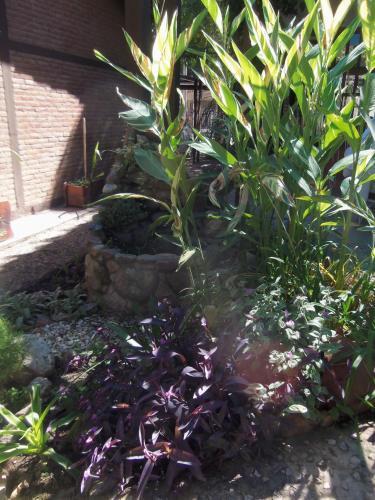 Lodge Apart Caba�as El Monta�es