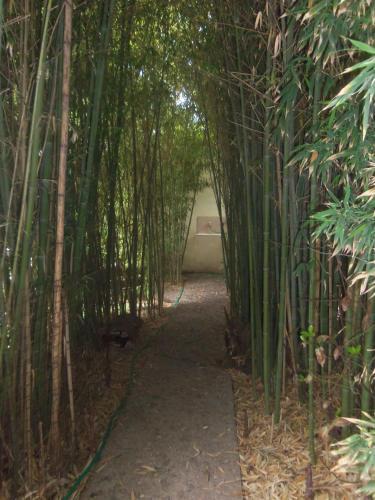 Lodge Apart Caba�as El Monta�es