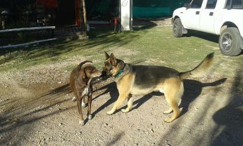 Lodge Sangiovese Caba�as